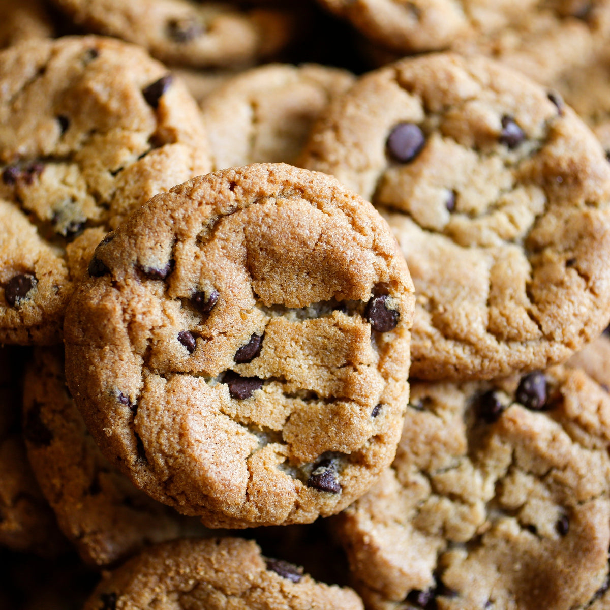 Close-up of golden chocolate chip cookies