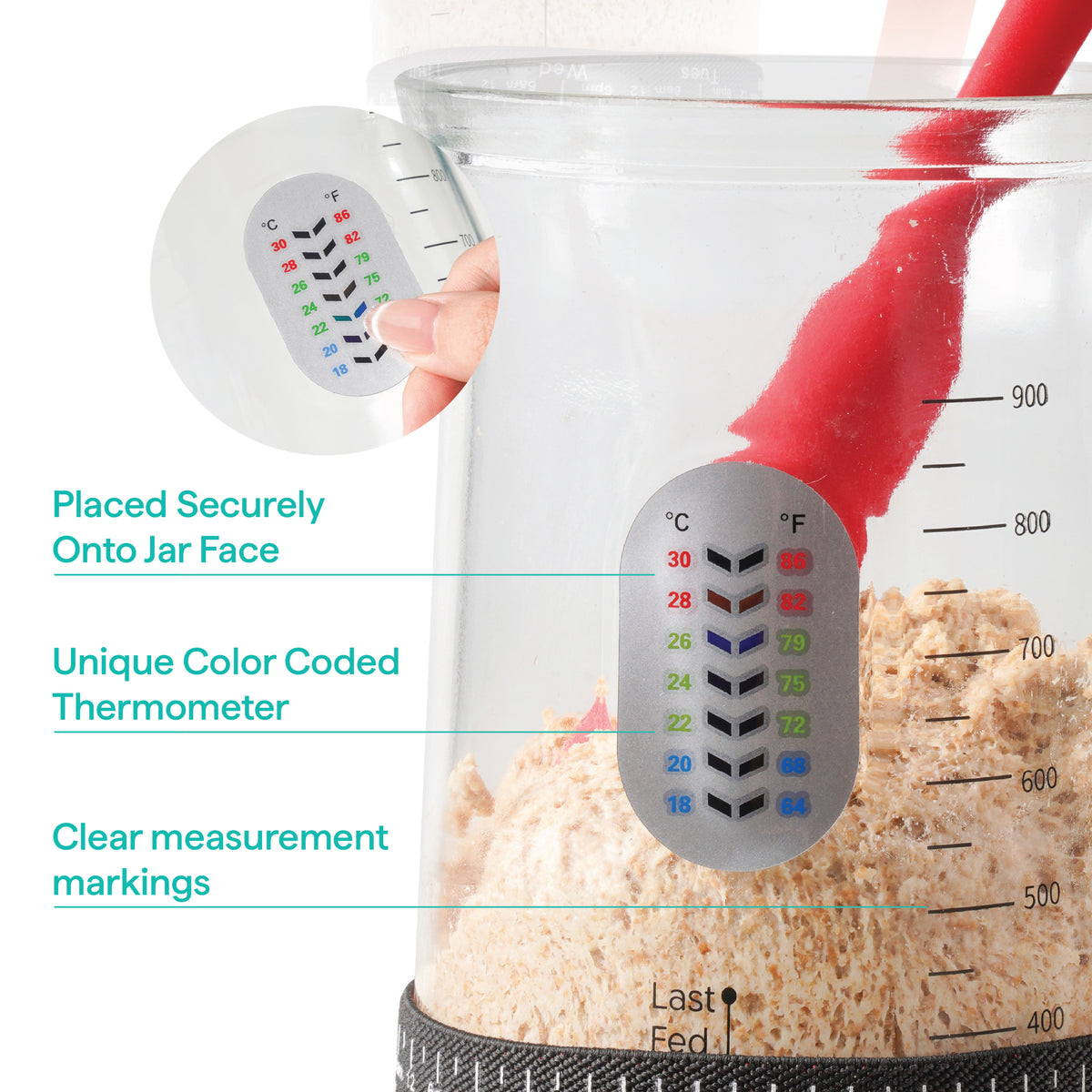 Close-up of the jar's color thermometer strip and measurement markings